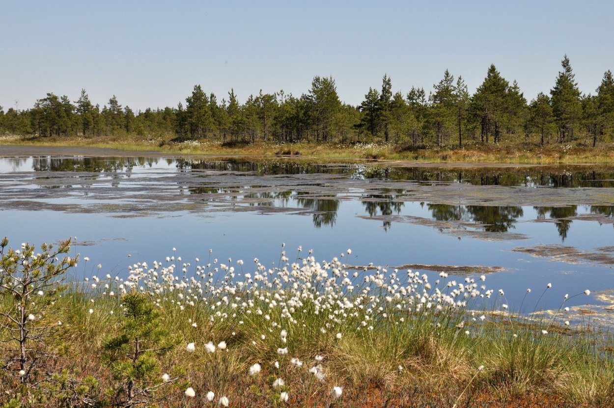 Озеро Вялье