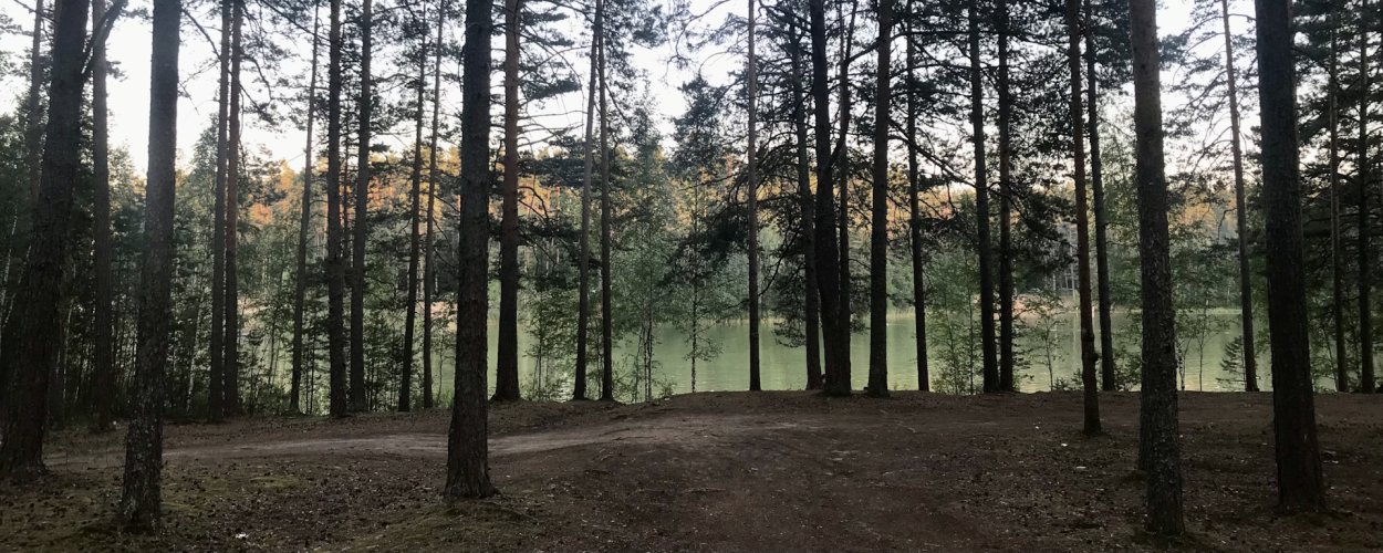 Зеленое озеро в Луге