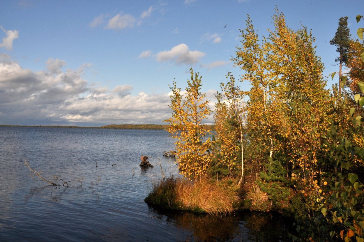 Озеро Вялье Ленинградская