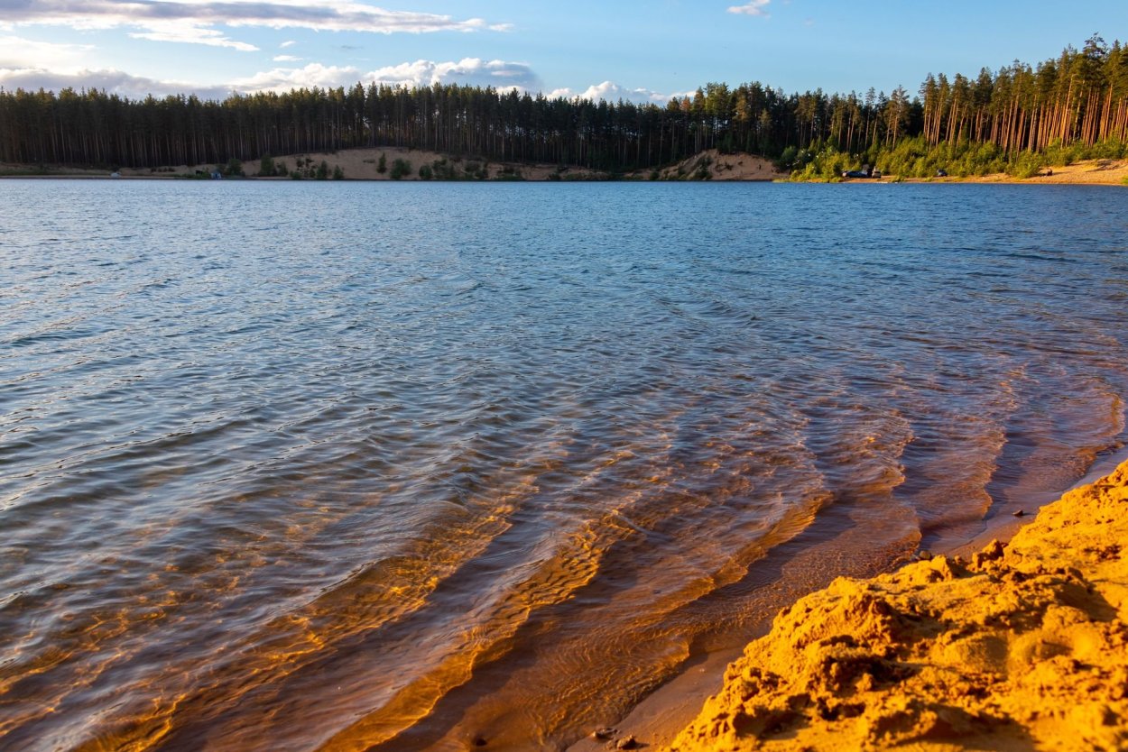 Озеро Вериговское Тосненский район