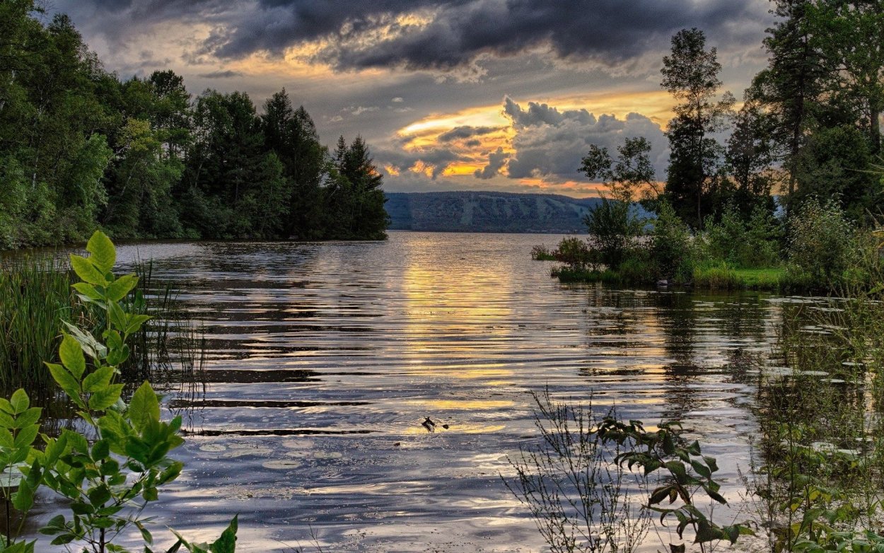 Озеро Ликолампи Выборг