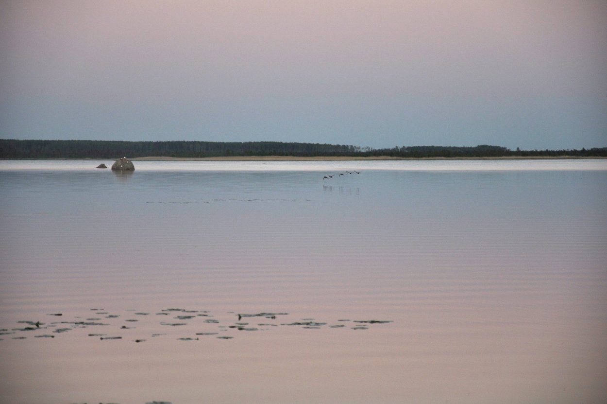 Озеро Вялье пляж