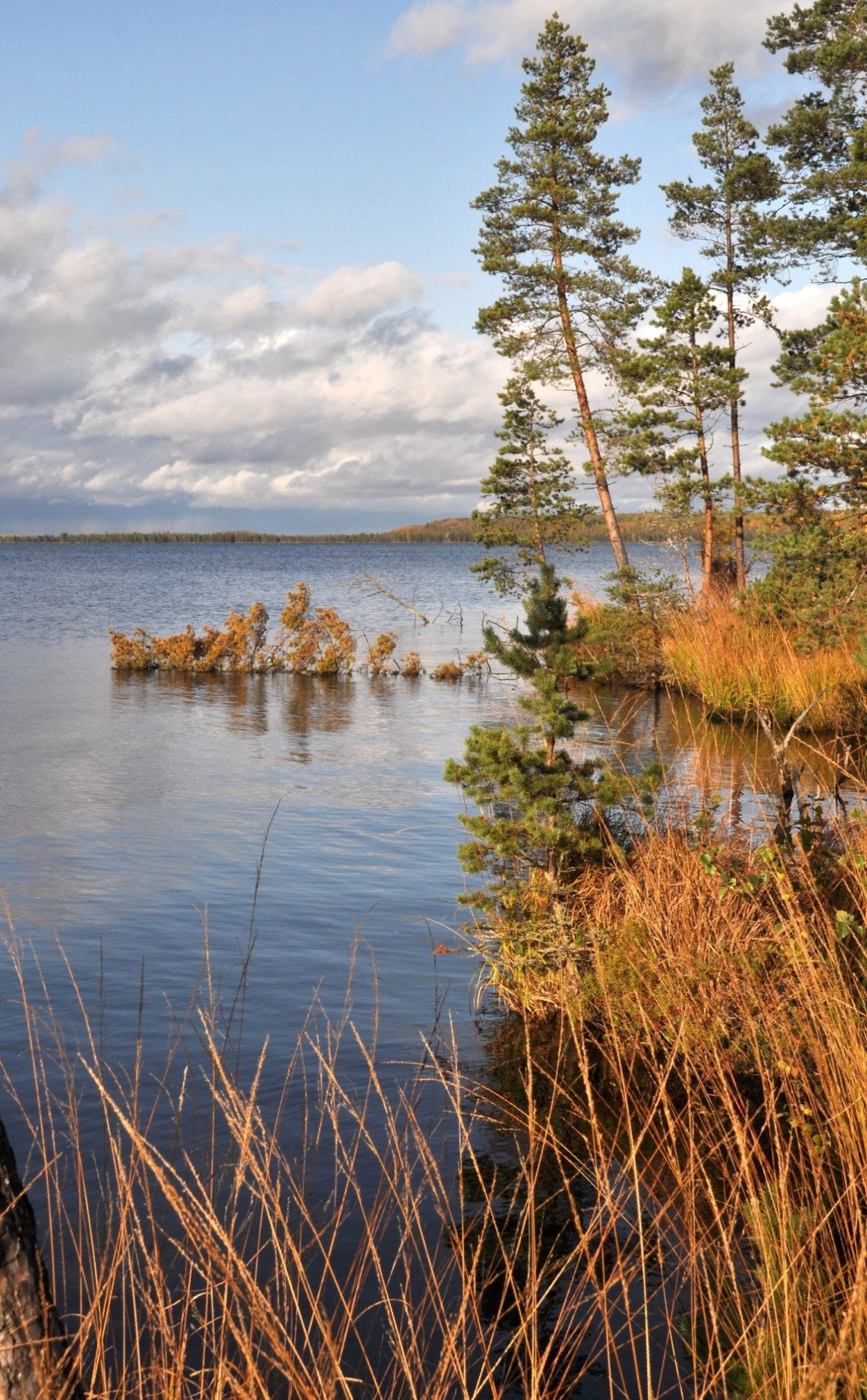 Оз Вялье оз Стречно
