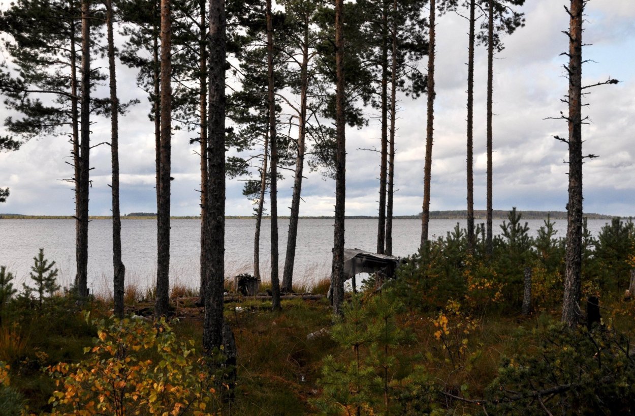 Озеро Вялье Ленинградская