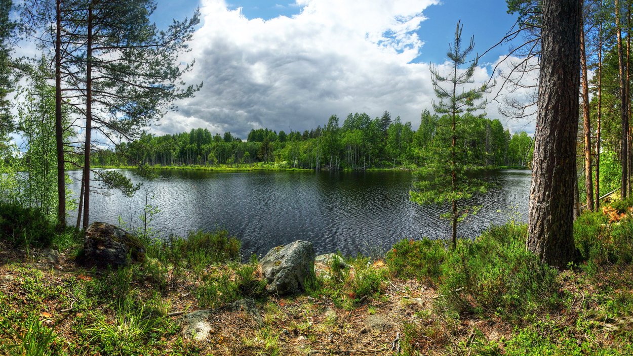 Остров Кильпола Ладога