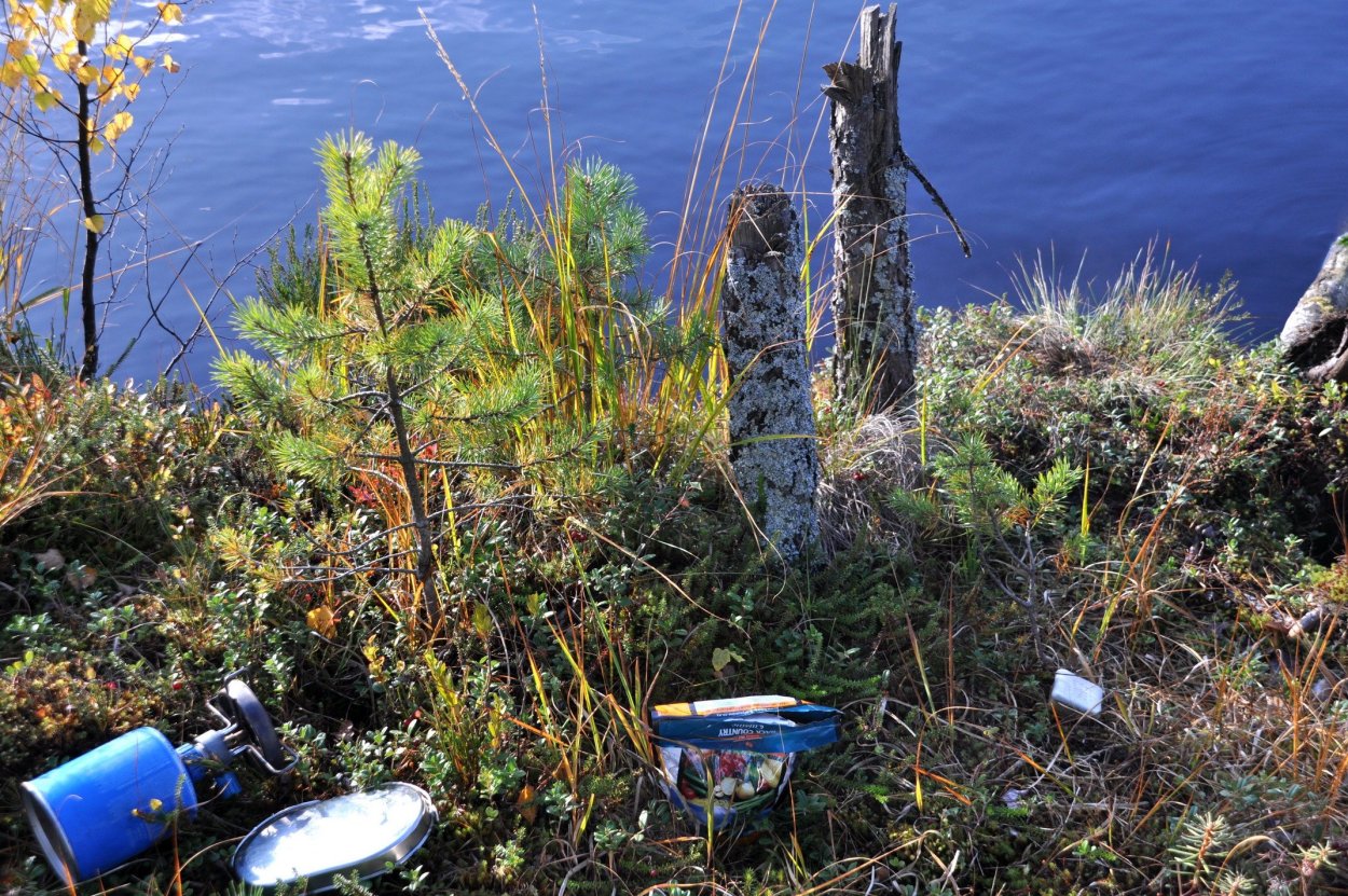 Озеро Мочалище