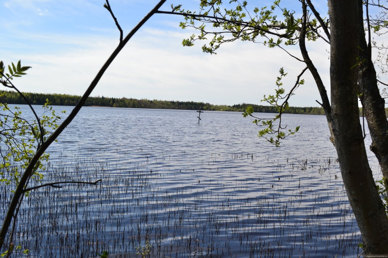 Дымское озеро в Тихвине