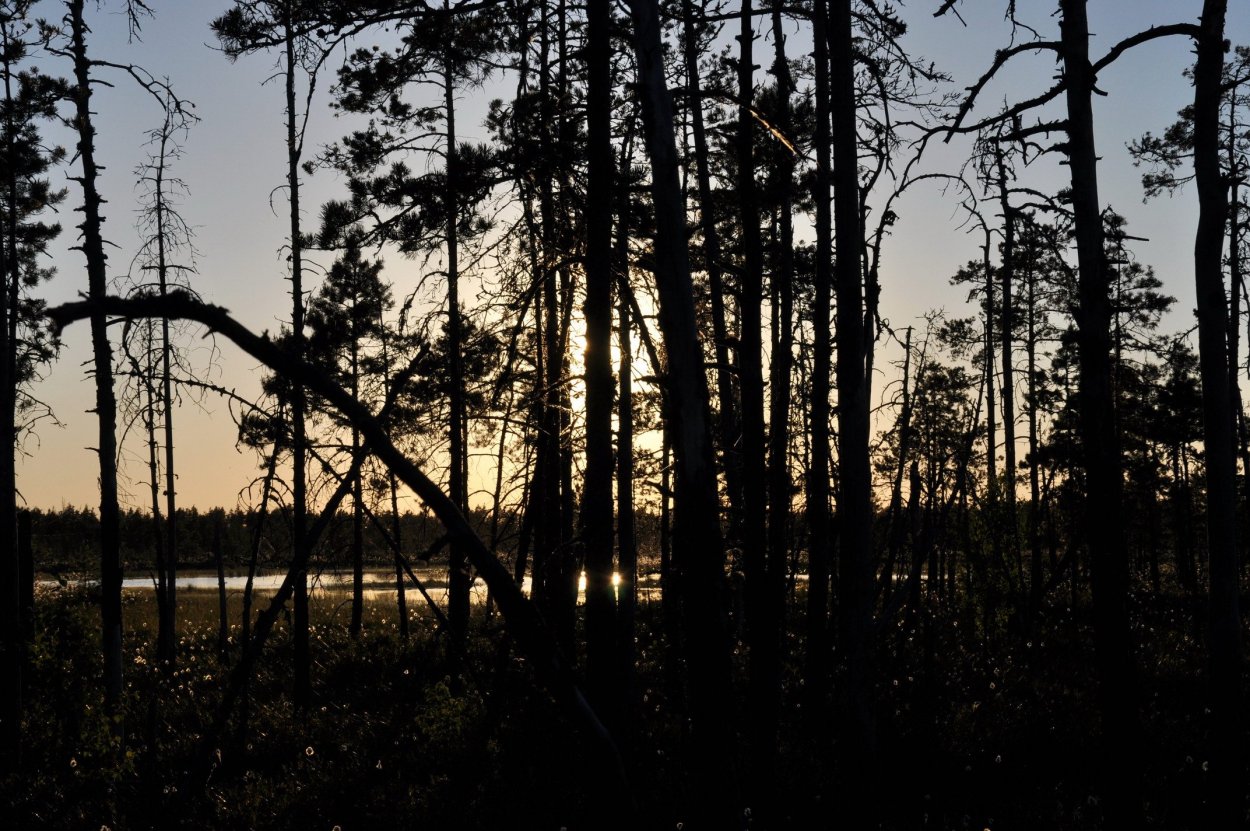 Озеро Вялье глубины