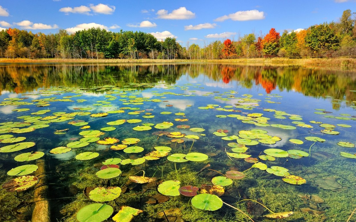 Озера реки пруды водоемы