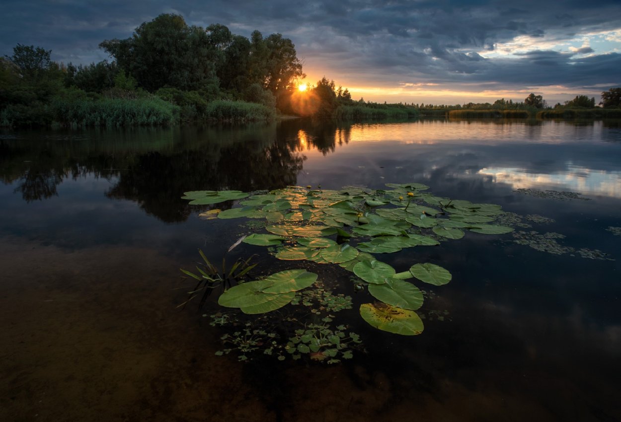 Озеро с кувшинками