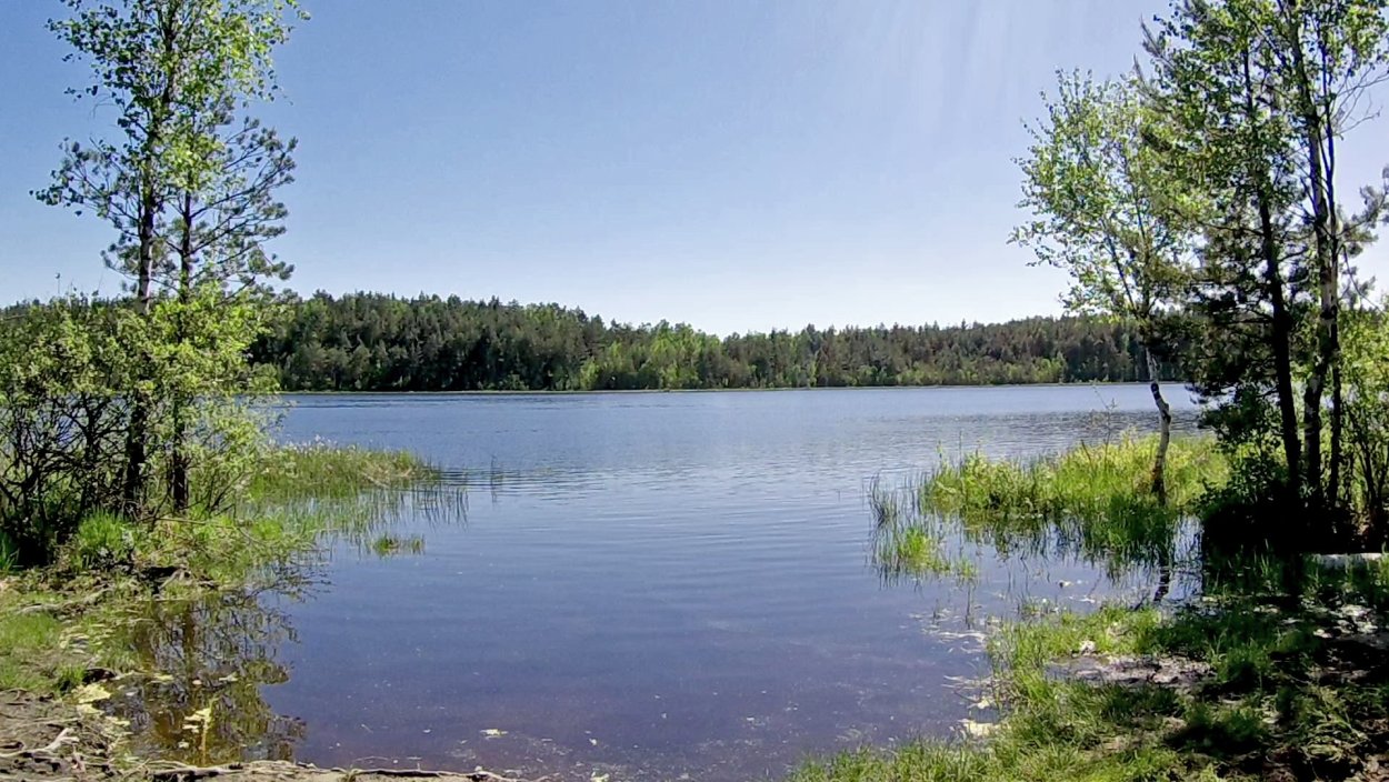 Озеро Дальнее Павлово-Посадский район