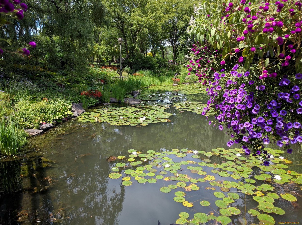 Ландшафтный сад "нимфея парк"