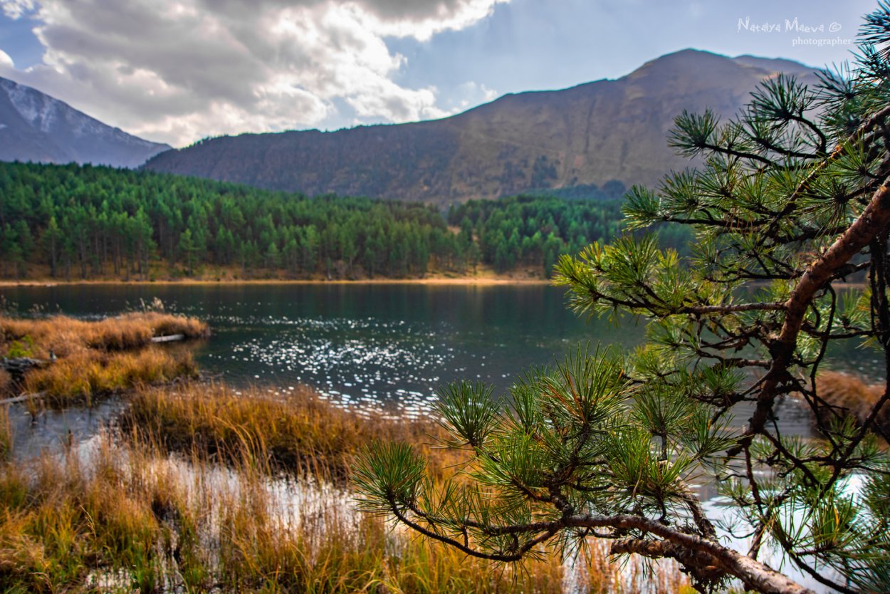 Река Буюнда в Магаданской области