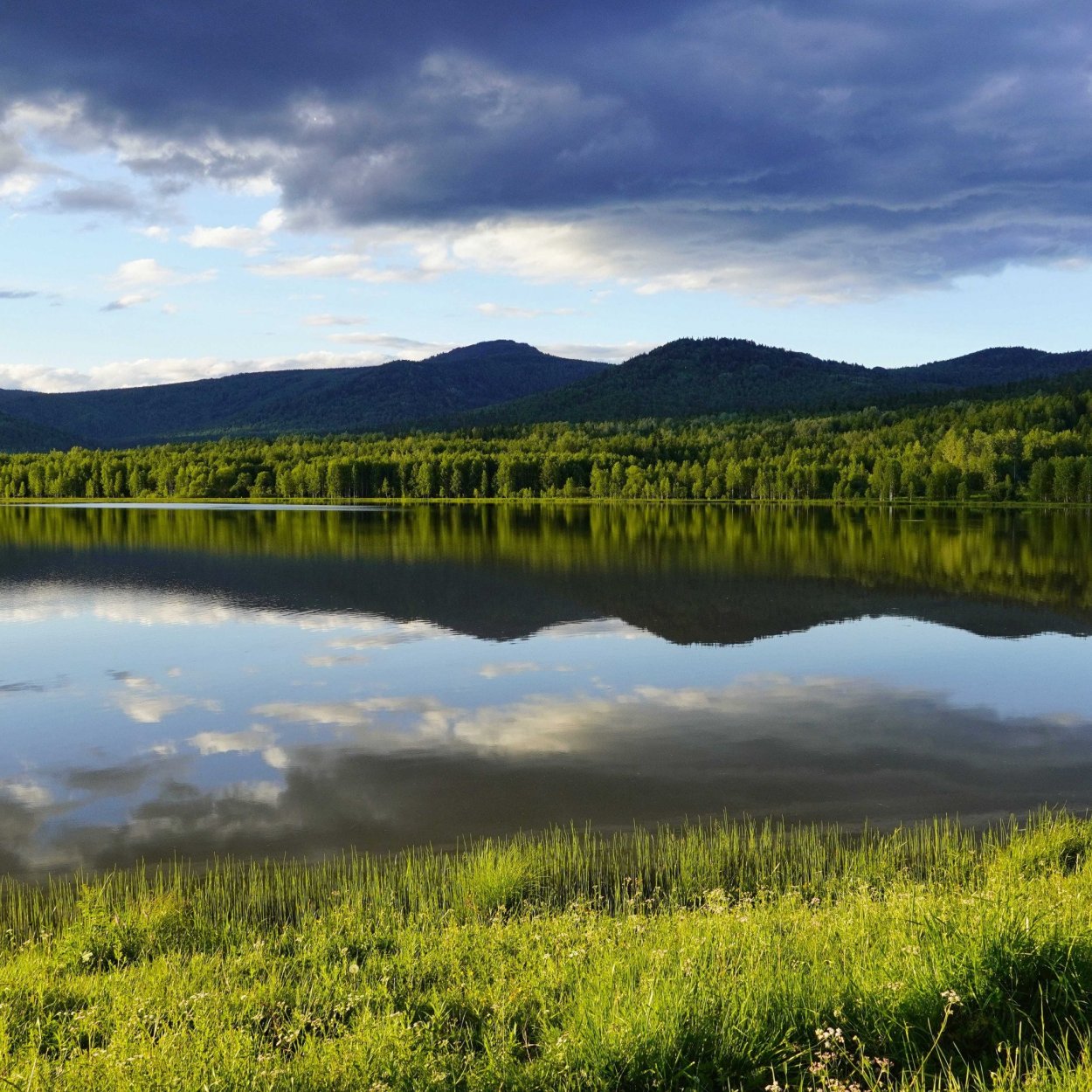 Лето горы река Тайга Сибирь