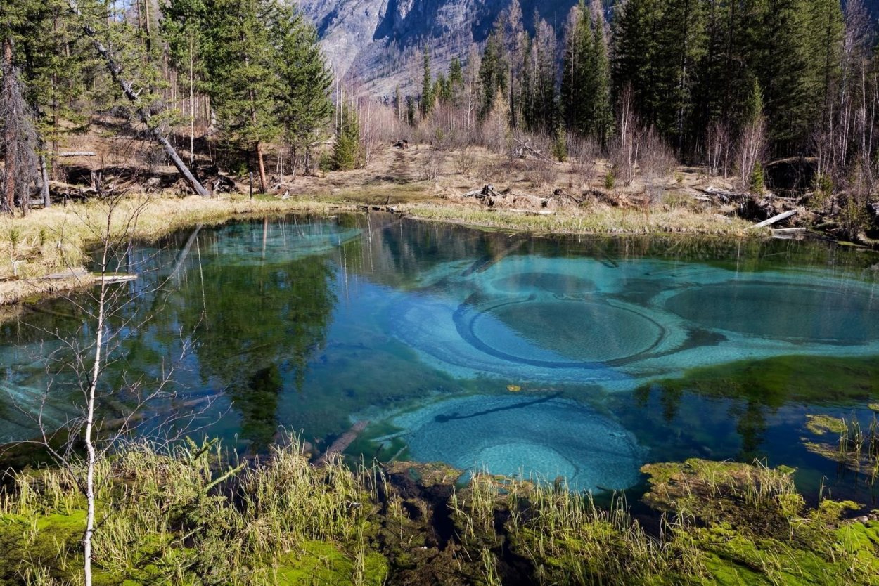 Гейзеровое озеро горный Алтай зимой