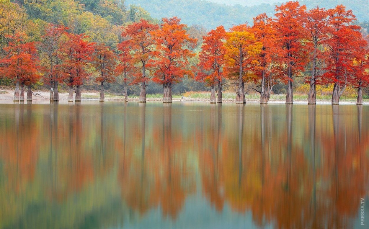 Кипарисовое озеро Сукко осенью