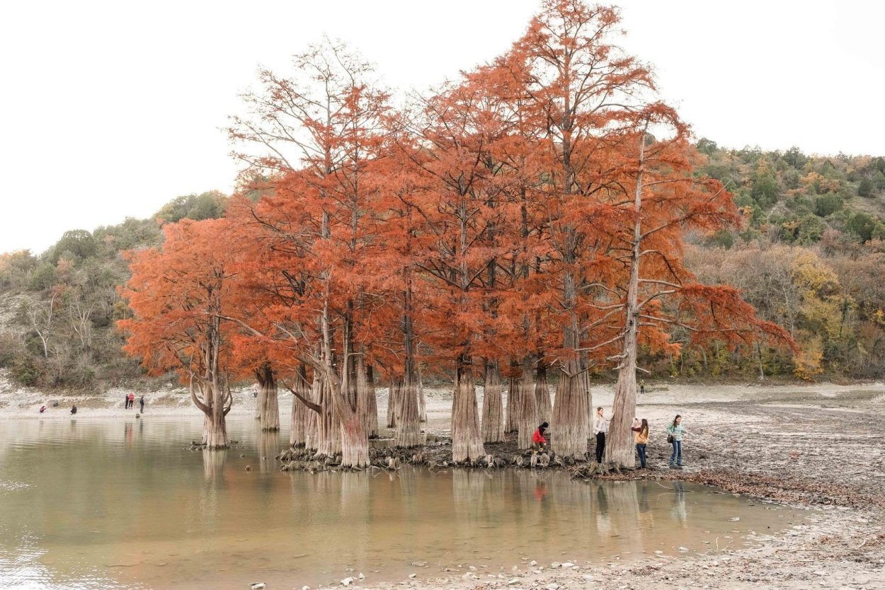 Кипарисовое озеро Сукко Краснодарский край