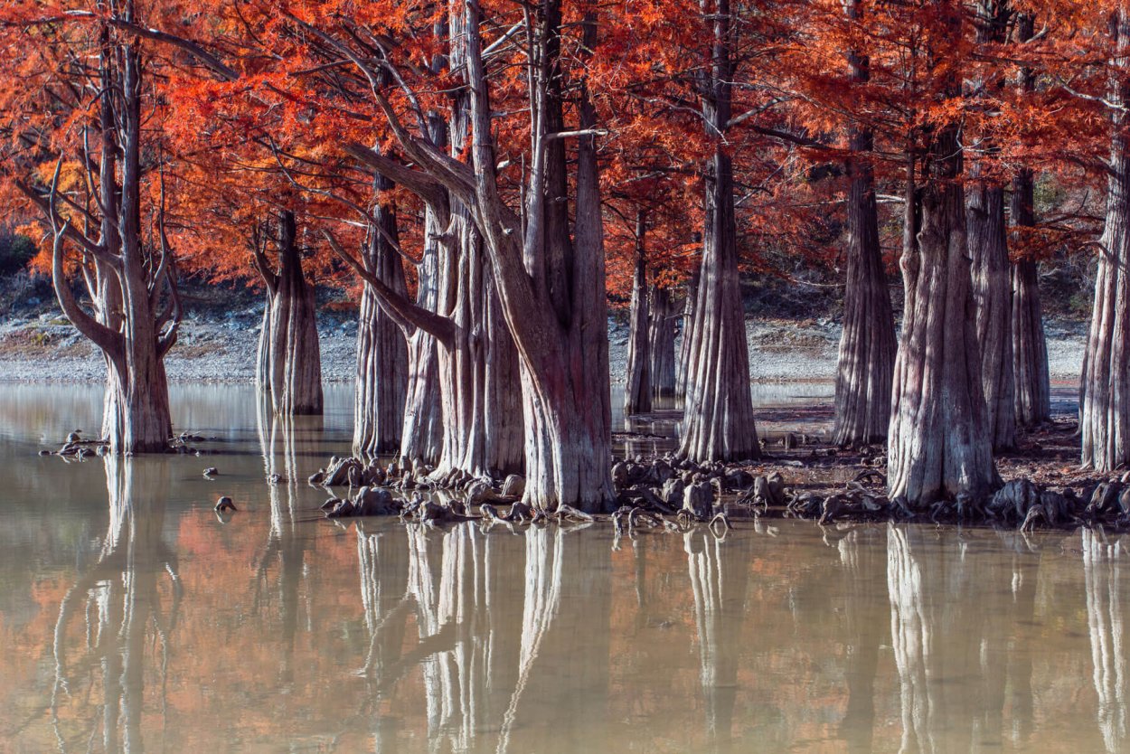 Сукко Анапа Кипарисовое озеро