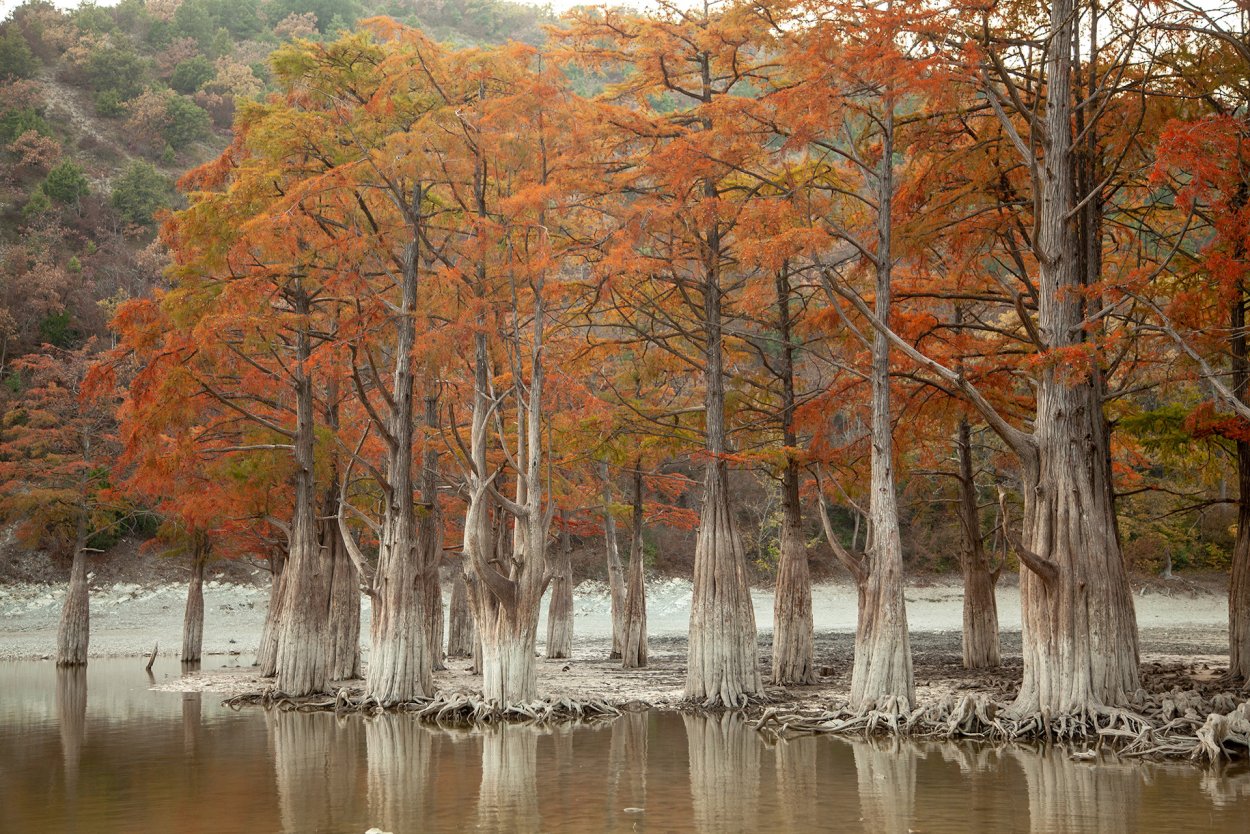 Кипарисовое озеро Сукко