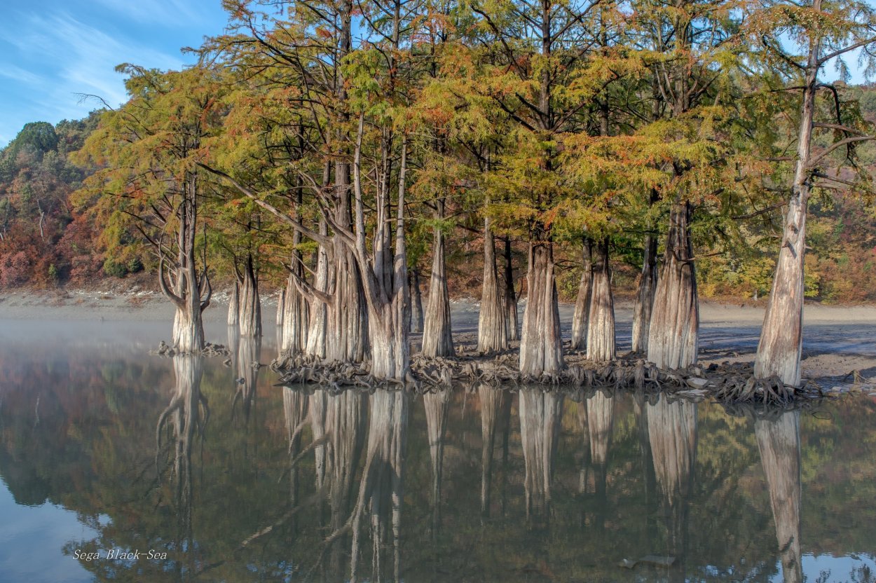 Кипарисовое озеро Сукко