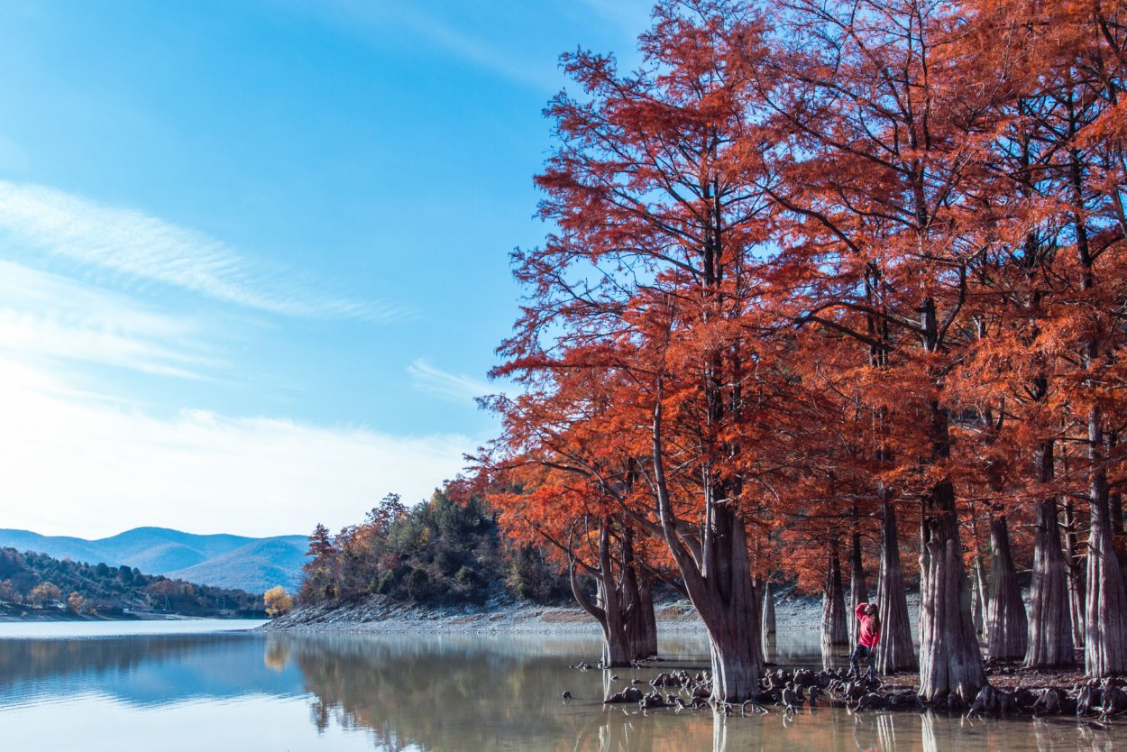 Сукко озеро с кипарисами