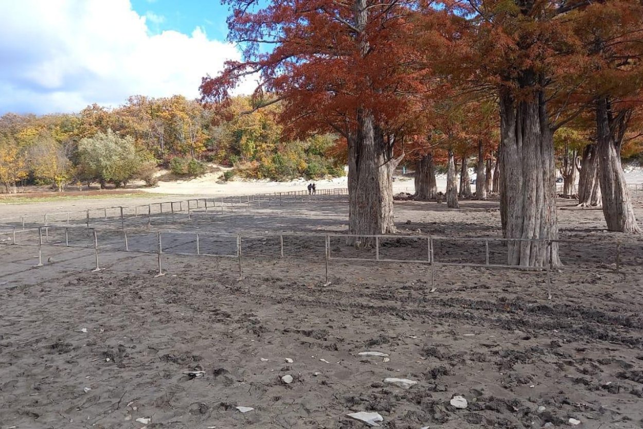 Кипарисовое озеро в Анапе оградили