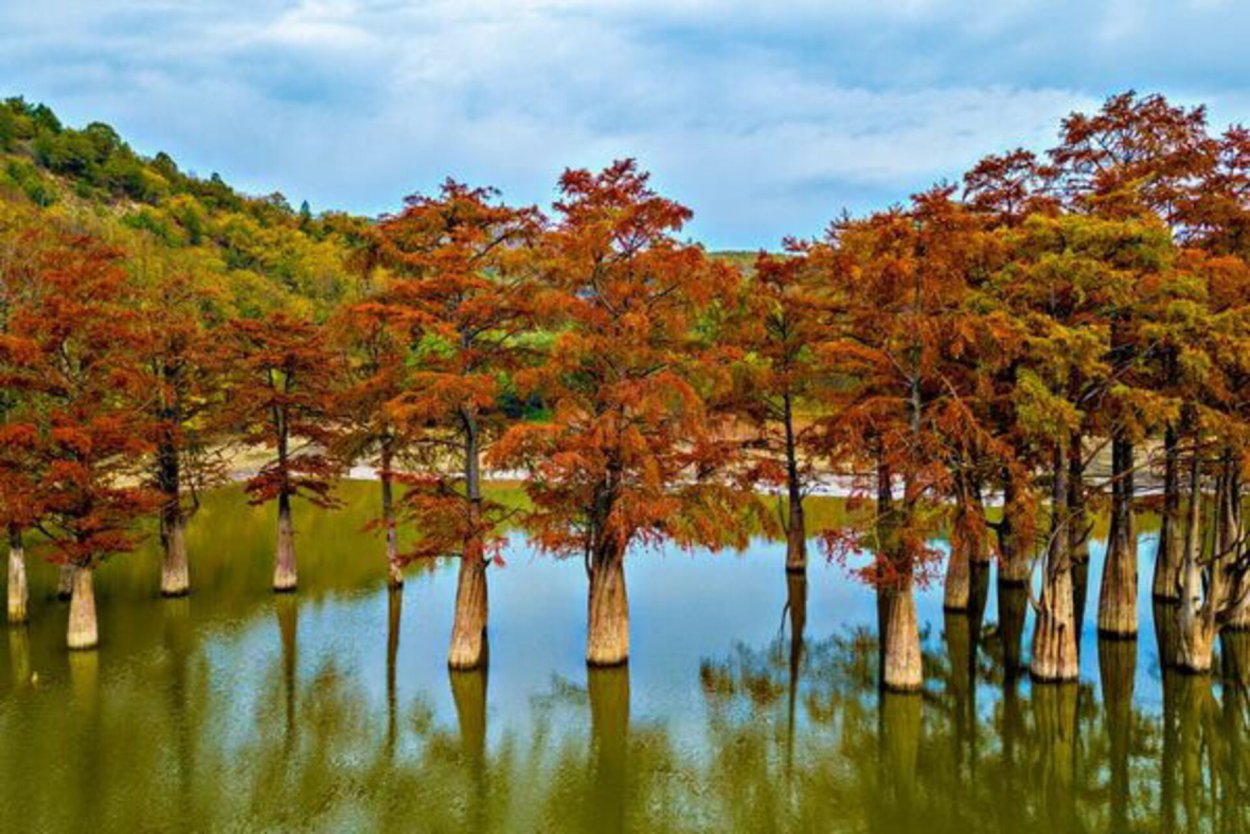 Кипарисовое озеро Краснодарский край