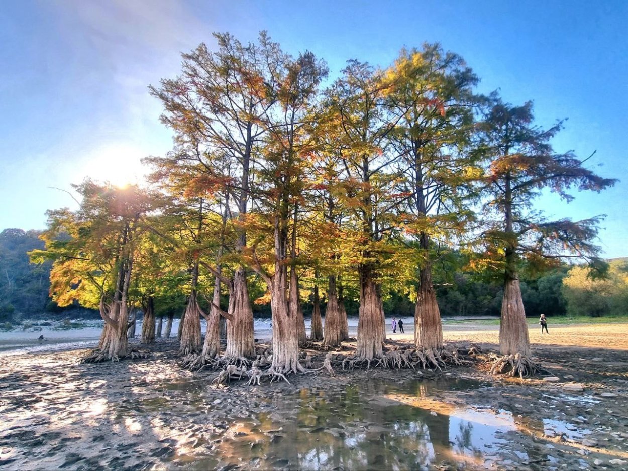 Кипарисовое озеро Сукко