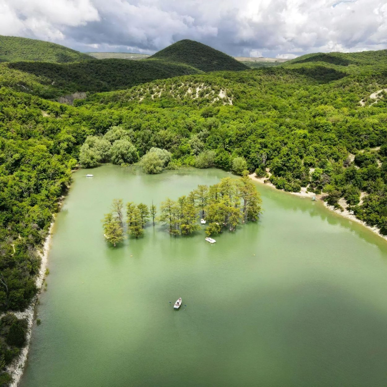 Черепахи в Сукко