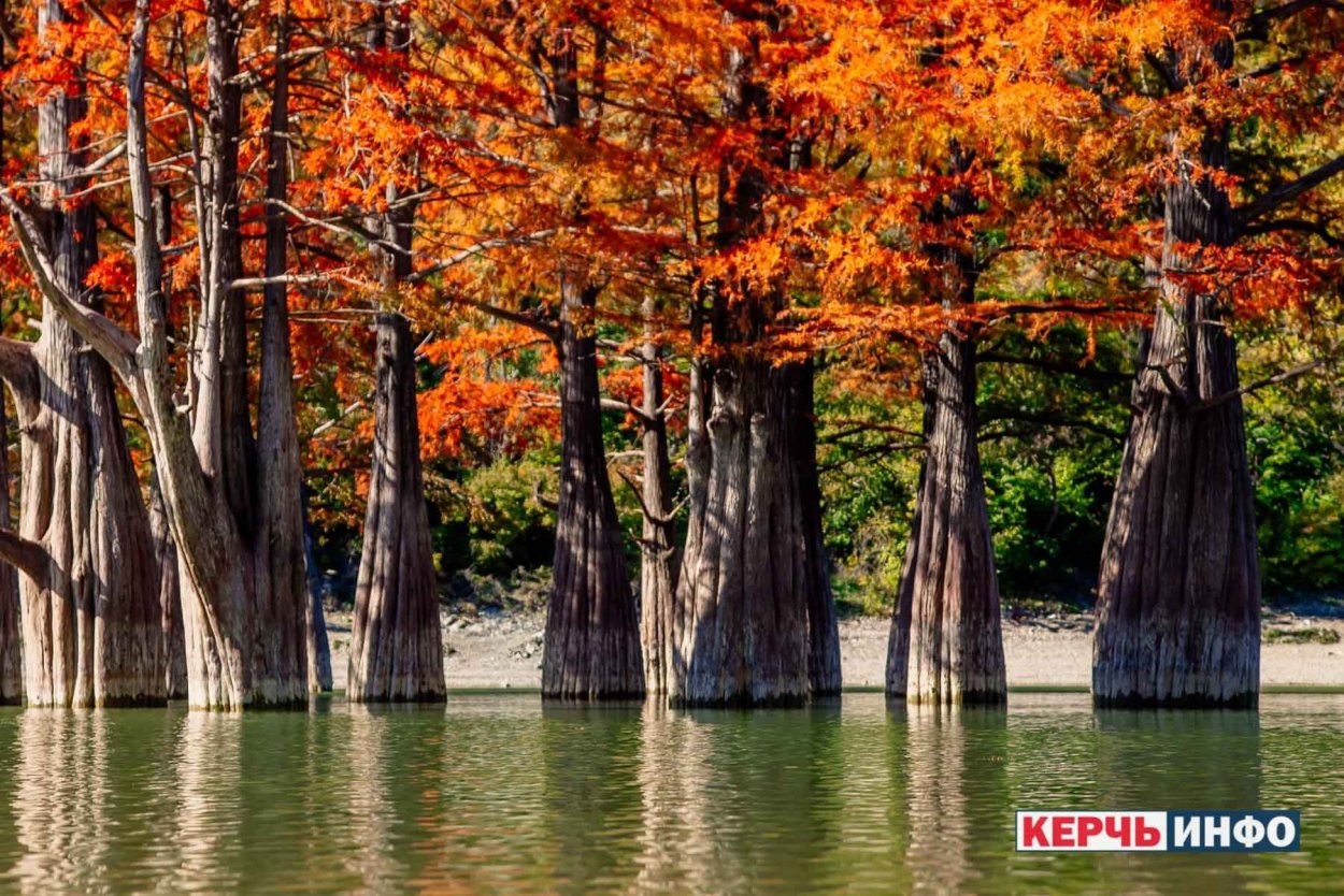 Кипарисовое озеро Геленджик