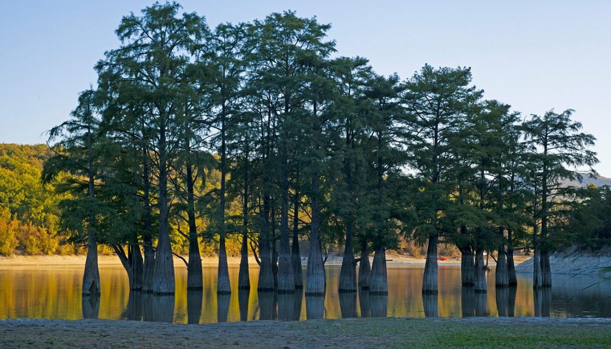 Сукко Анапа Кипарисовое озеро