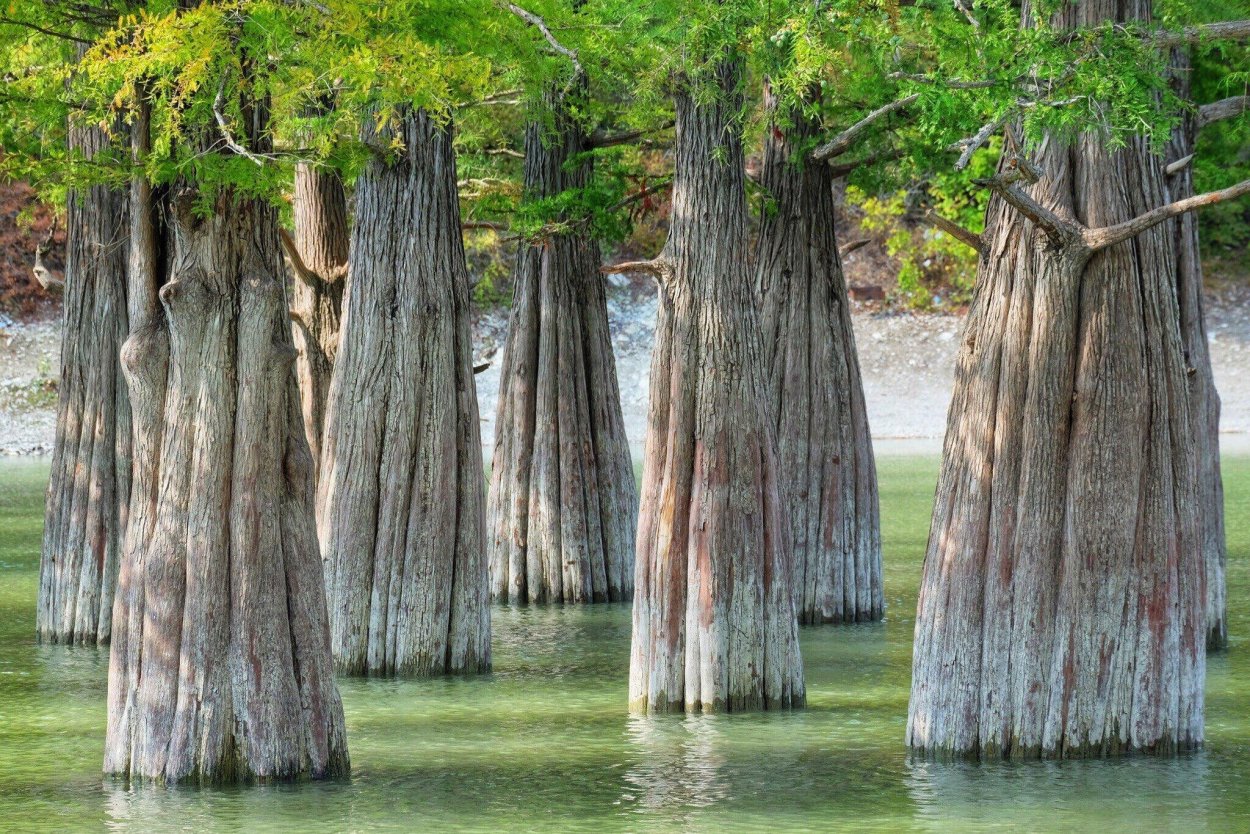 Озеро Сукко в Анапе