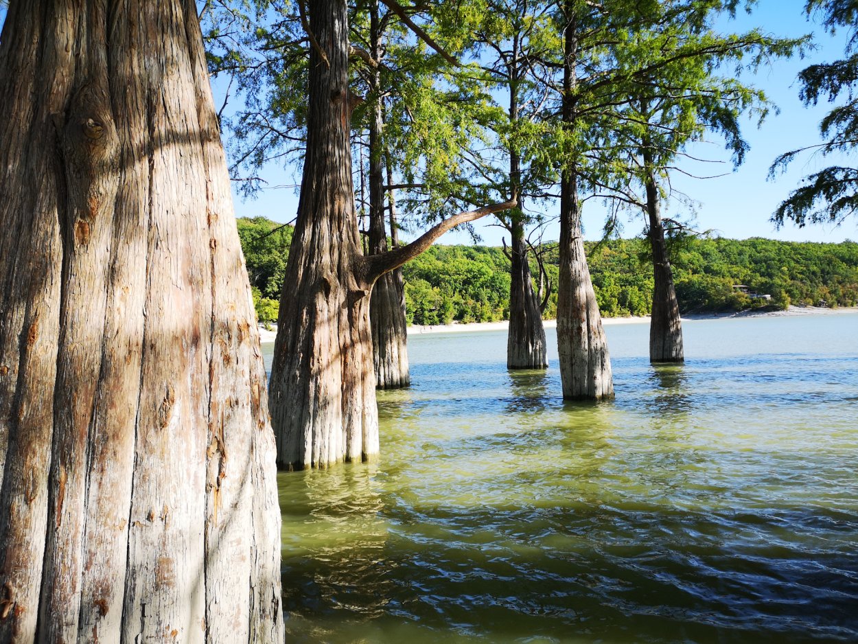 Кипарисовое озеро Геленджик