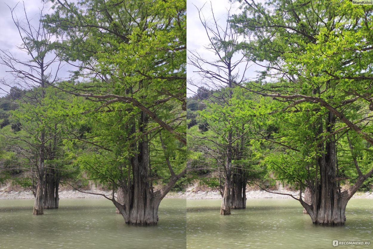 Сукко Кипарисовое озеро 2022