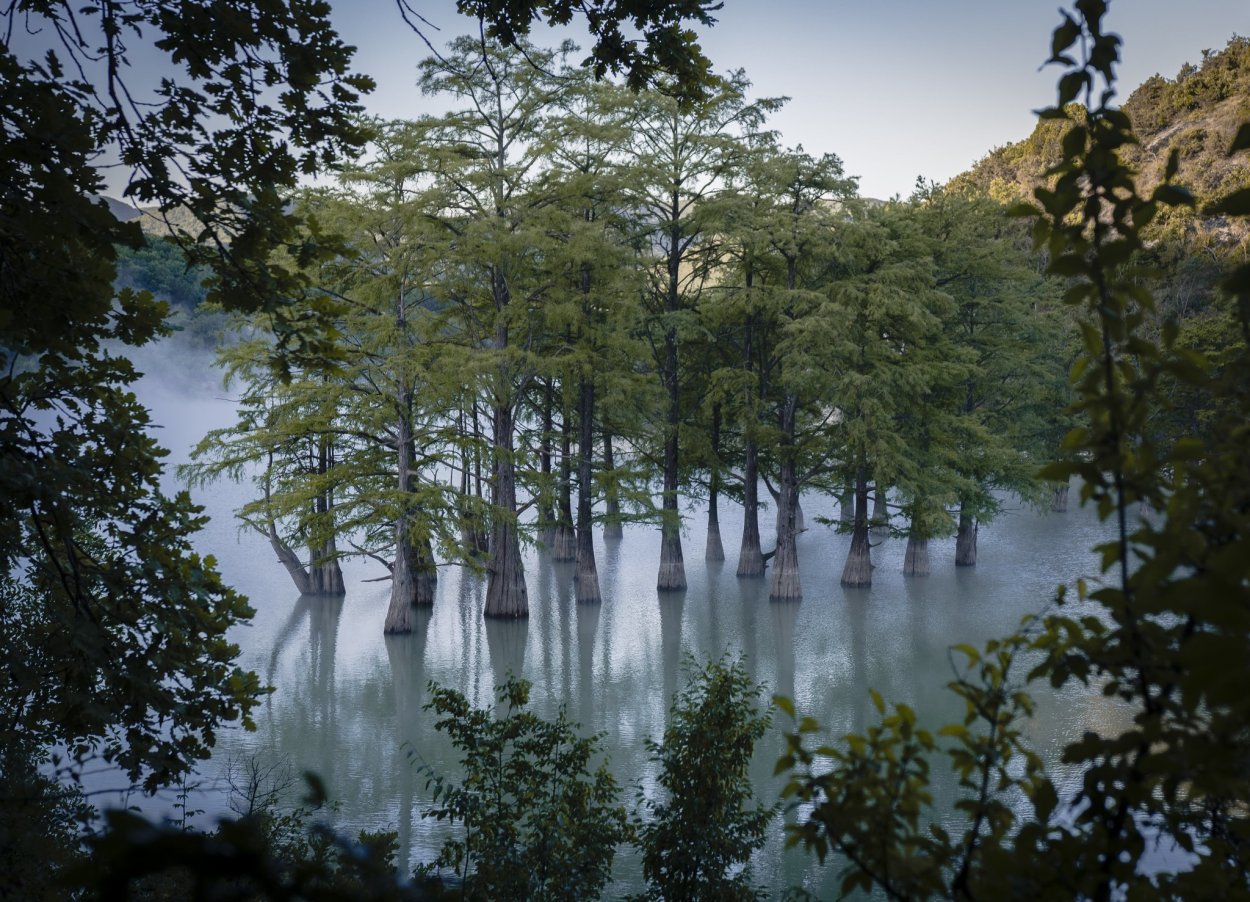 Поселок Сукко Кипарисовое озеро