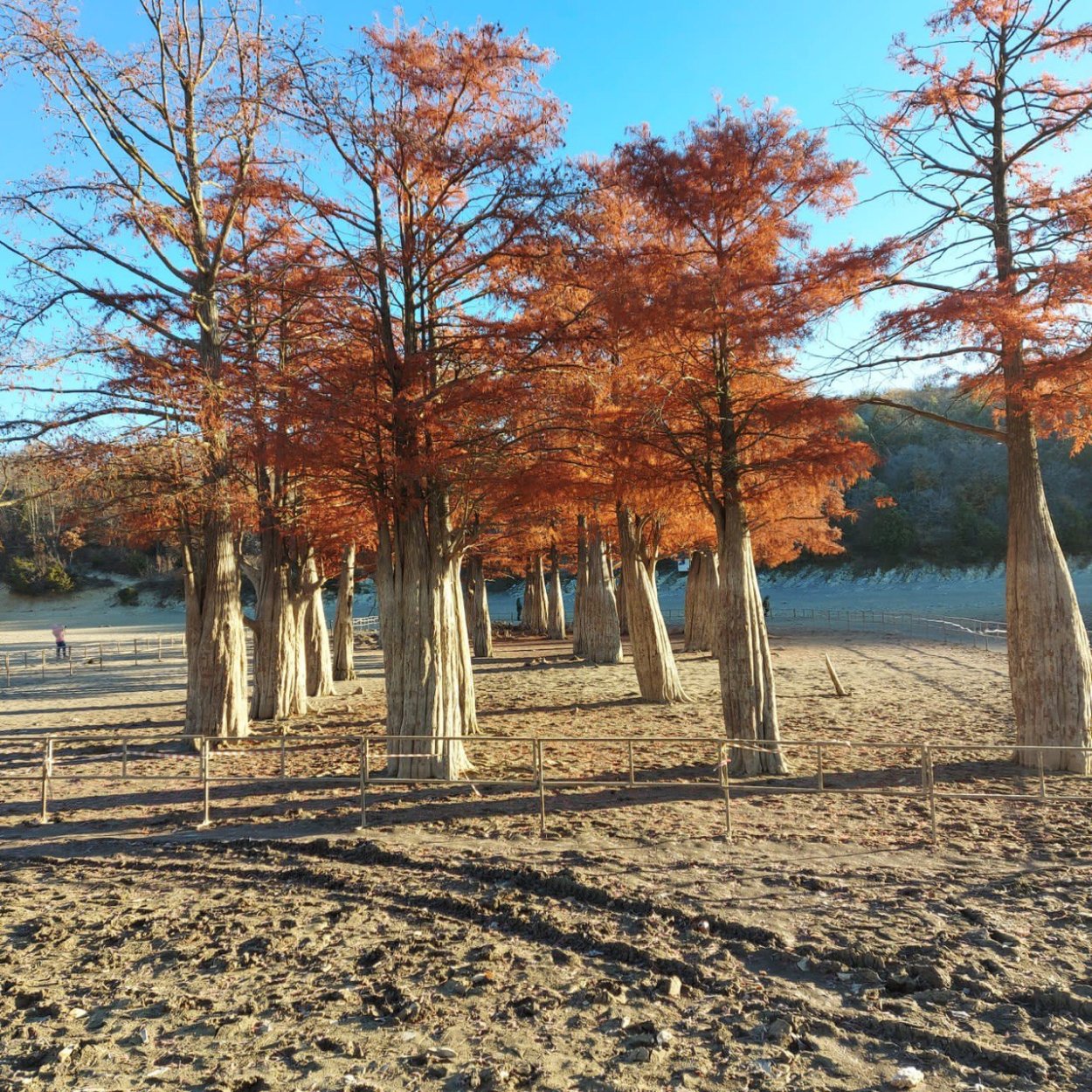 Кипарисовое озеро Сукко