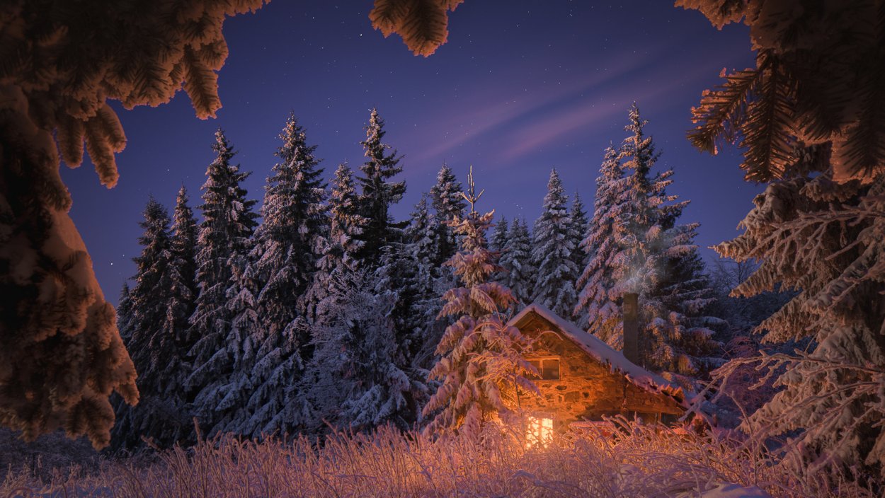 Зимний вечерний лес