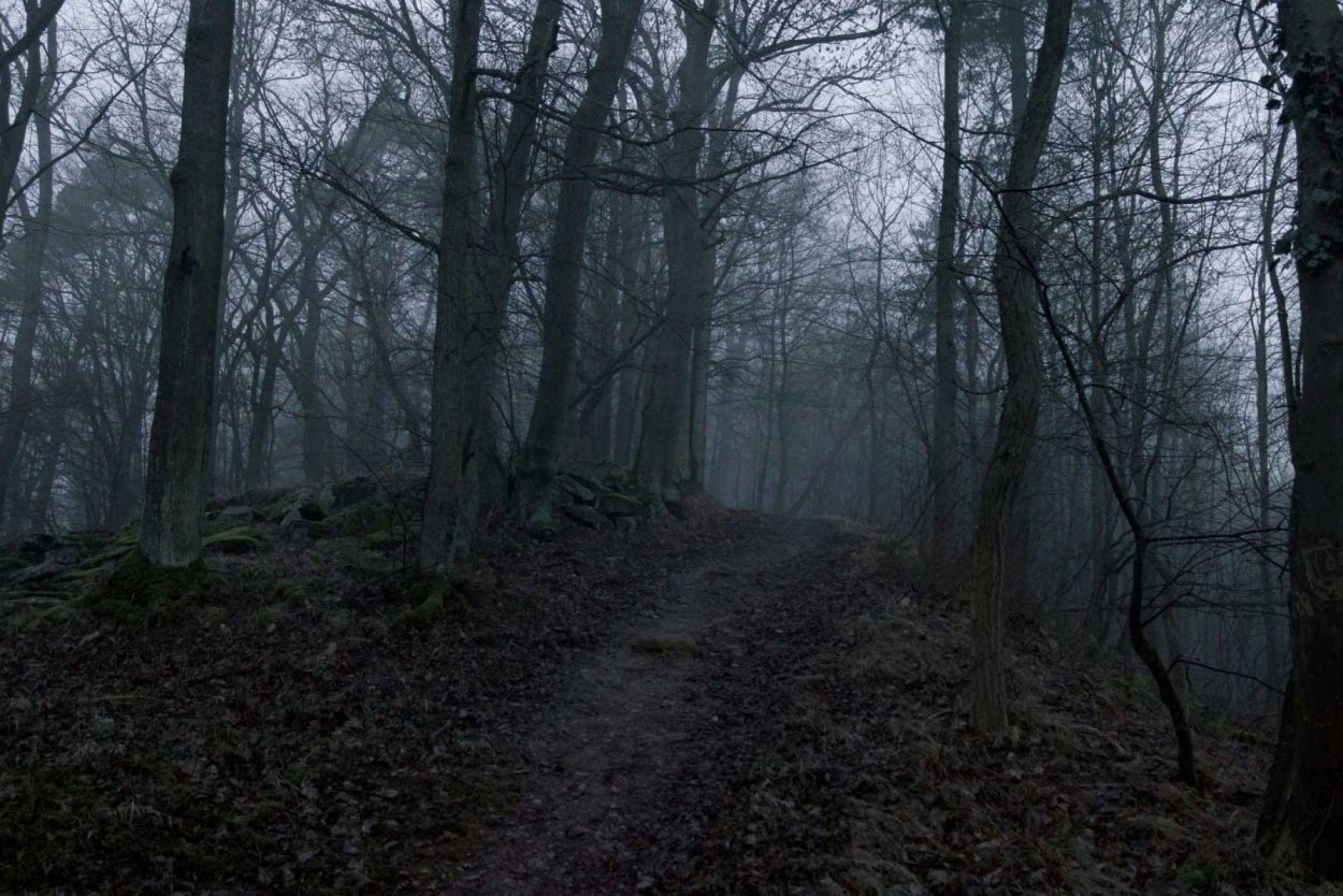 Мрачные леса (2019) фильм