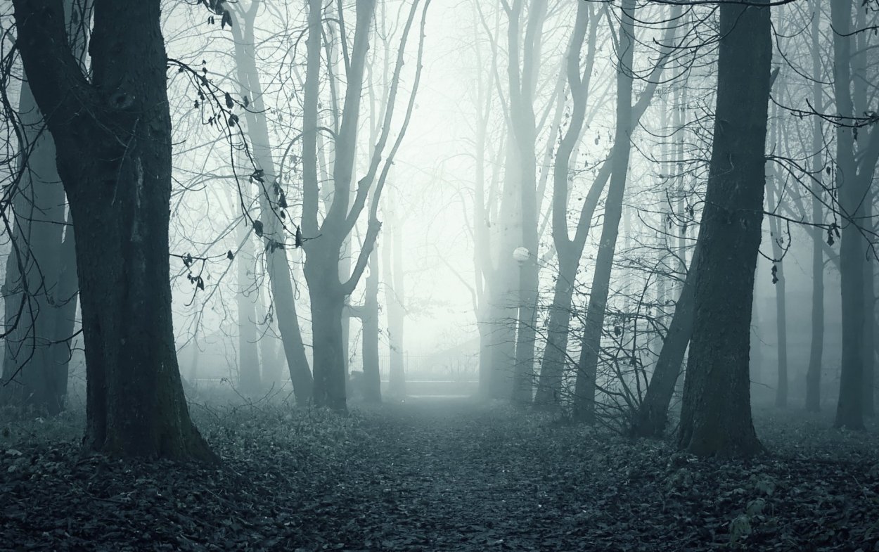 Мрачный лес