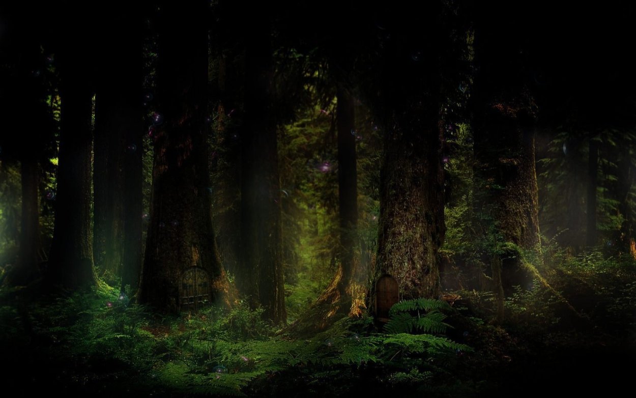 Дремучий лес