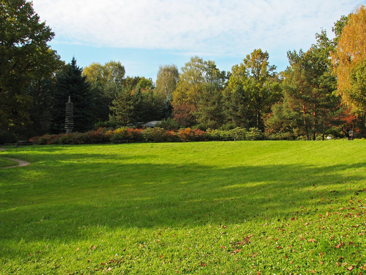 Лесные Поляны Москва