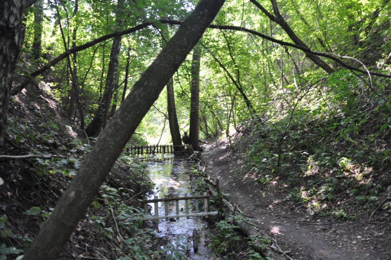 Томск Михайловская роща речка