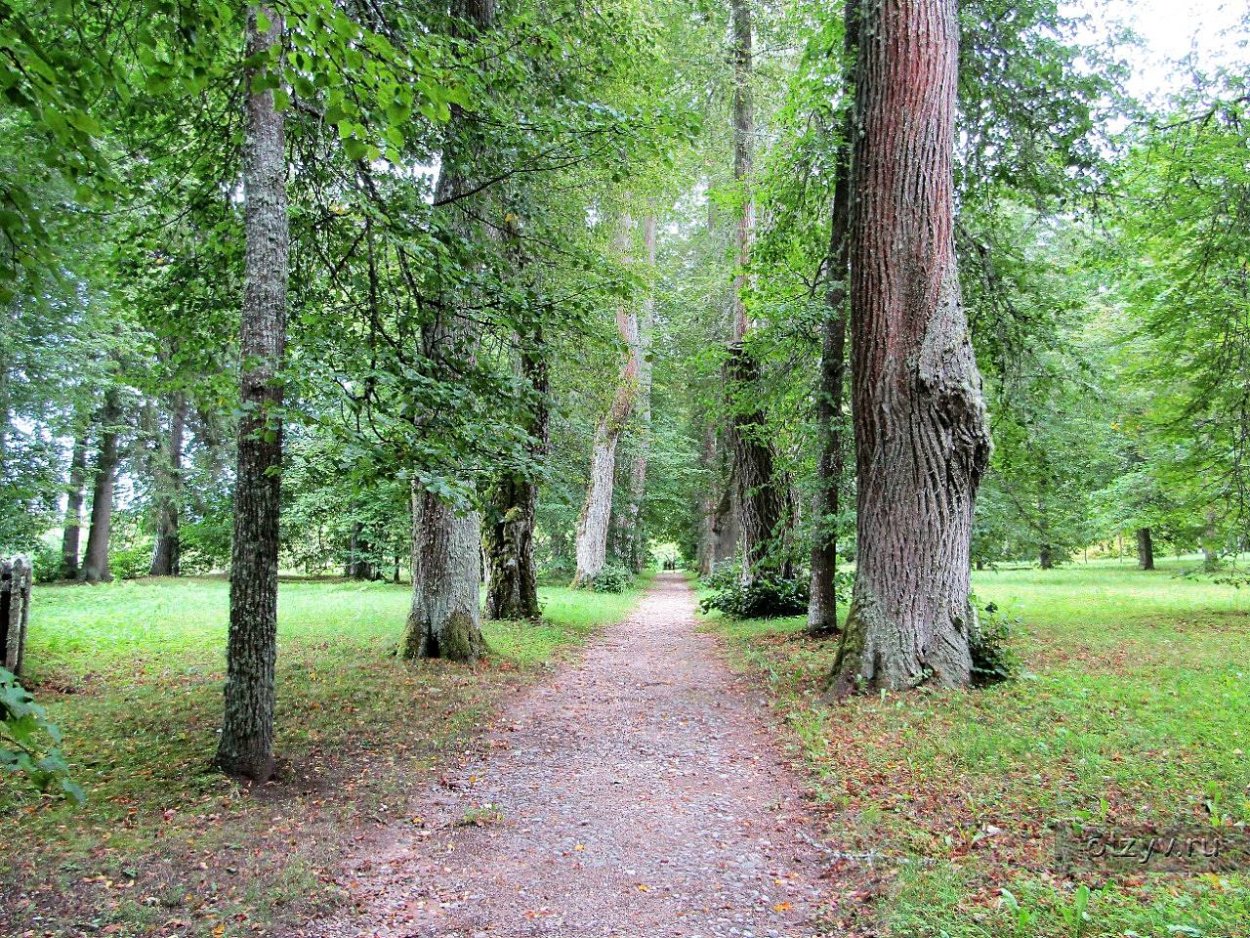 Михайловское музей-заповедник аллея Керн