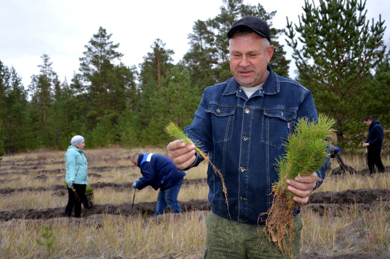 Лессервис Михайловский район Алтайский край