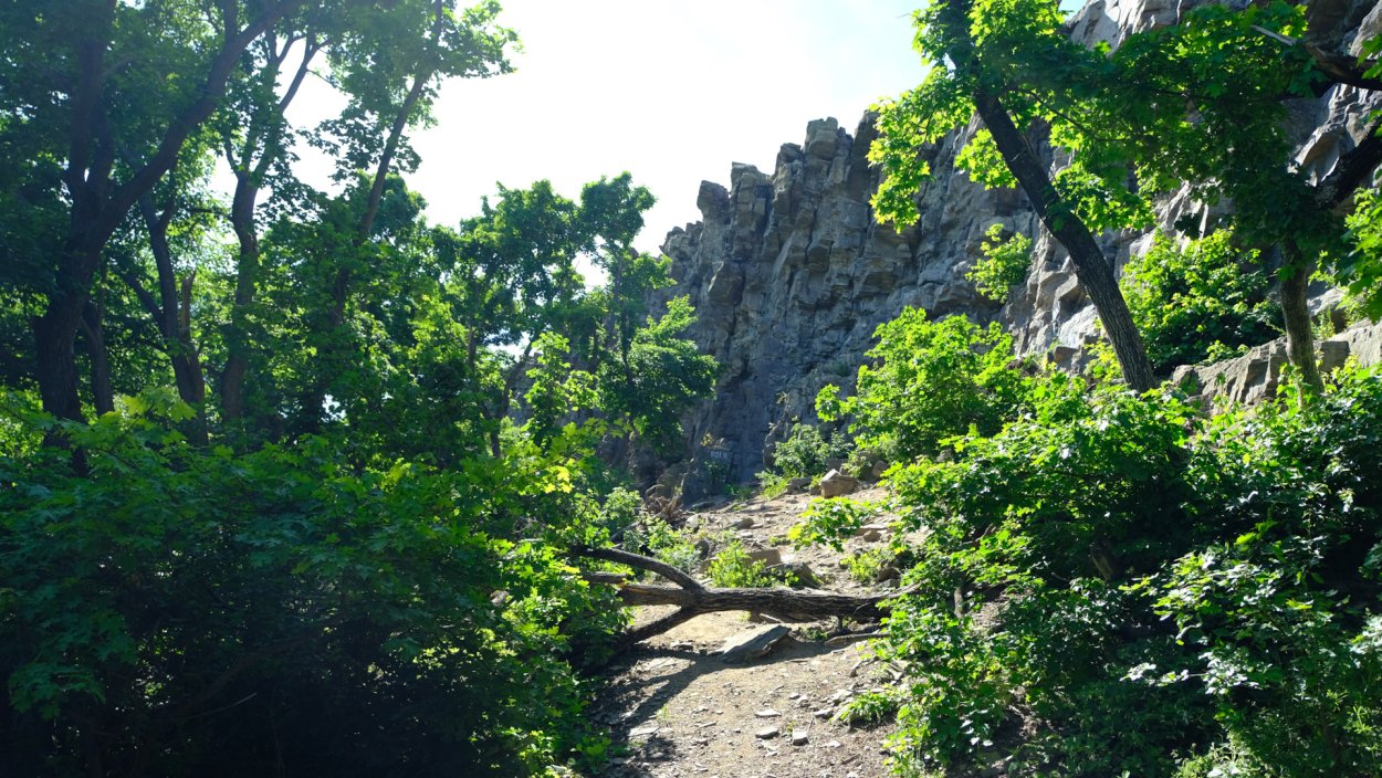 Горный лес Красносулинский район