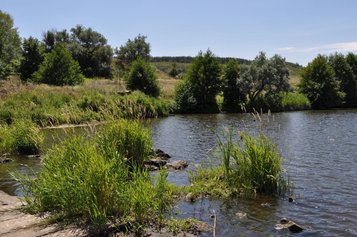 Михайловский пруд Саратов