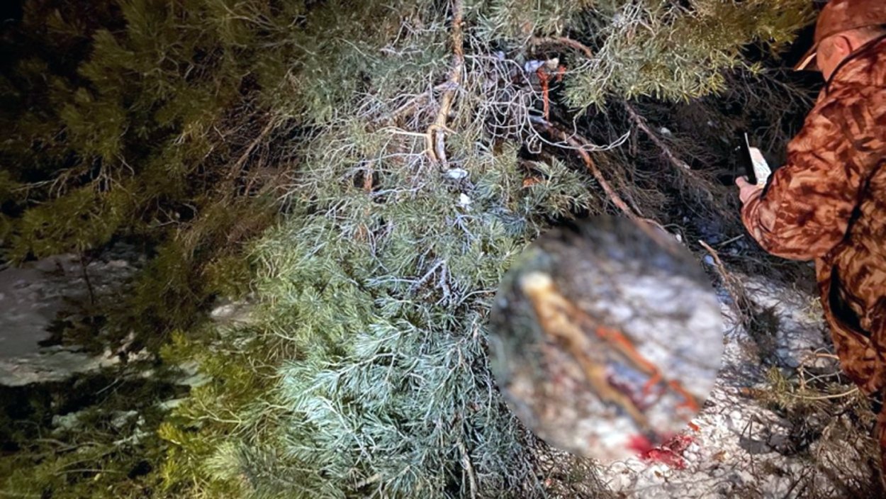 Фото с места преступления