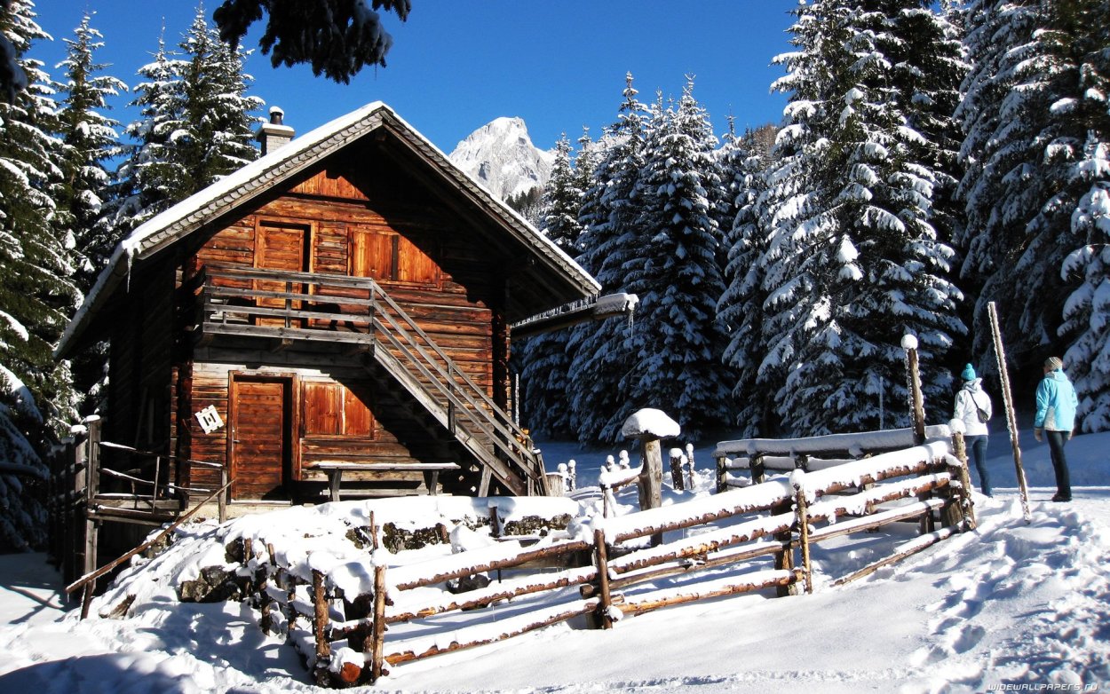 Заснеженный домик в лесу