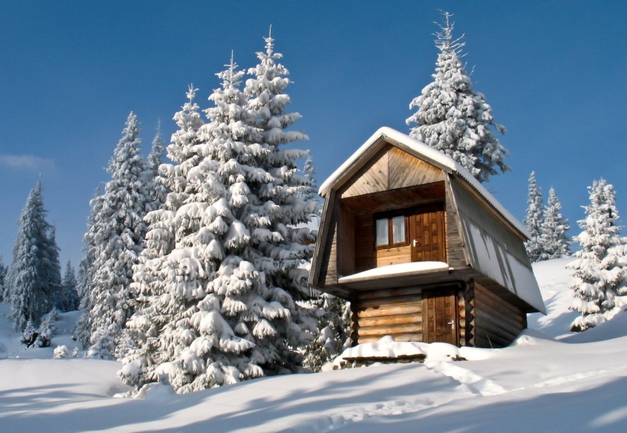 Избушка на опушке леса