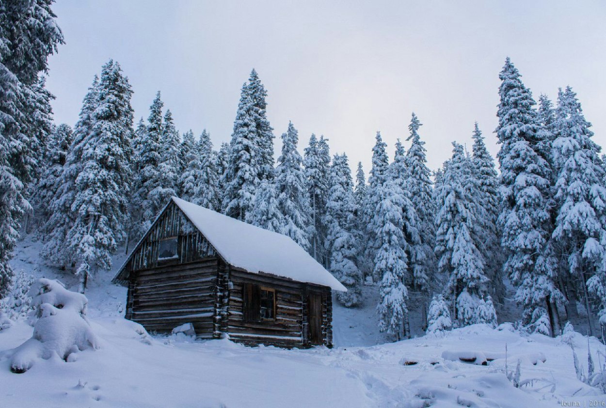 Хижина лесника зима